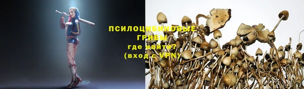 каннабис Баксан
