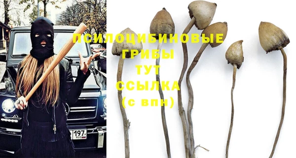 прущий лед Балабаново