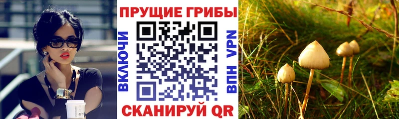 Галлюциногенные грибы прущие грибы  Урюпинск 